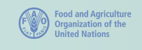 Screenshot 2026-03-01 131656